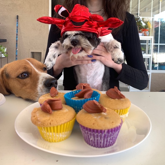 SHOP POLICIES - Picture 5 of 5